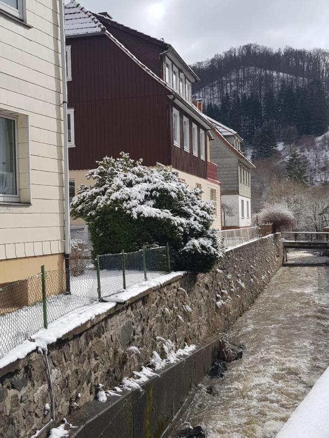 Ferienhaus Am Fluss Mit Traumhafter Dachterrasse ,Garten Und Grill Walkenried Exterior foto